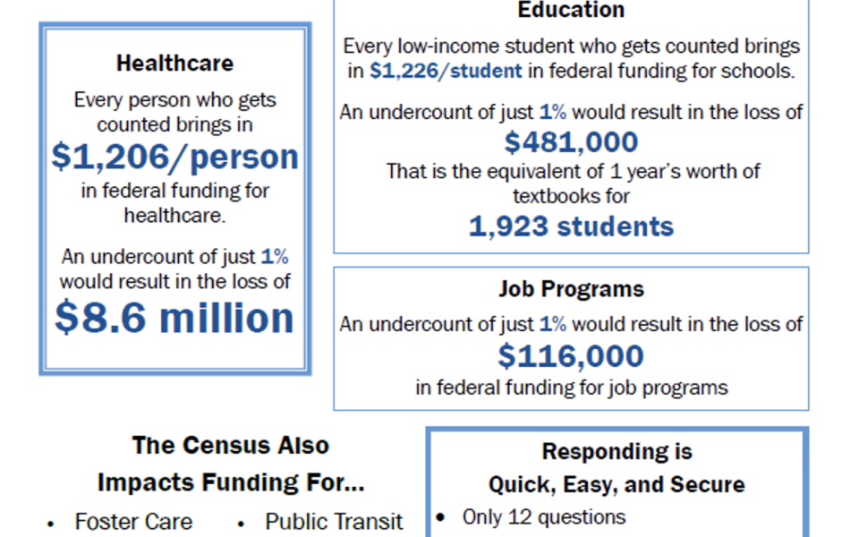 Infographic on Census