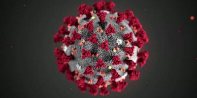 Image of the coronavirus germ. 